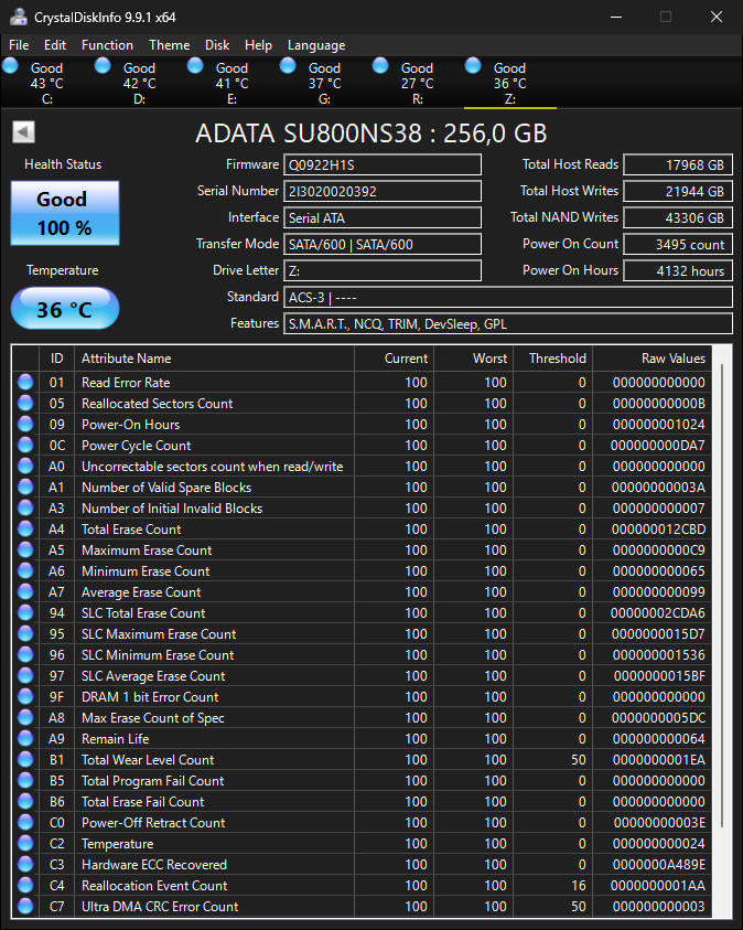 ADATA 256GB M.2 SATA SSD (100% Health)
