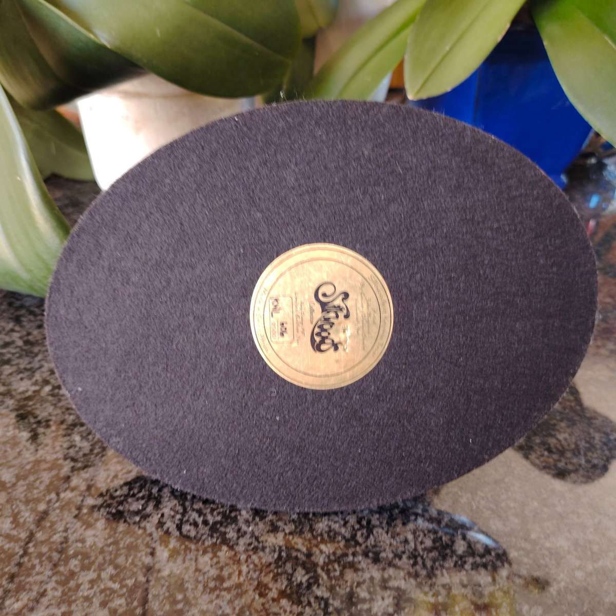 Limited edition Silkwood on Knysna Trust Knysna Lourie figurine