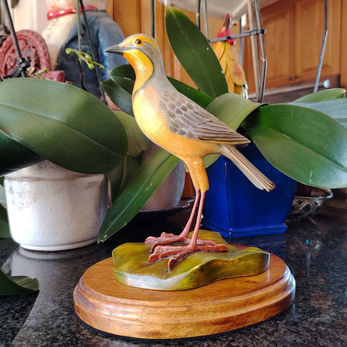 The Artist Collection Hummingbird Studios Cape Long Claw