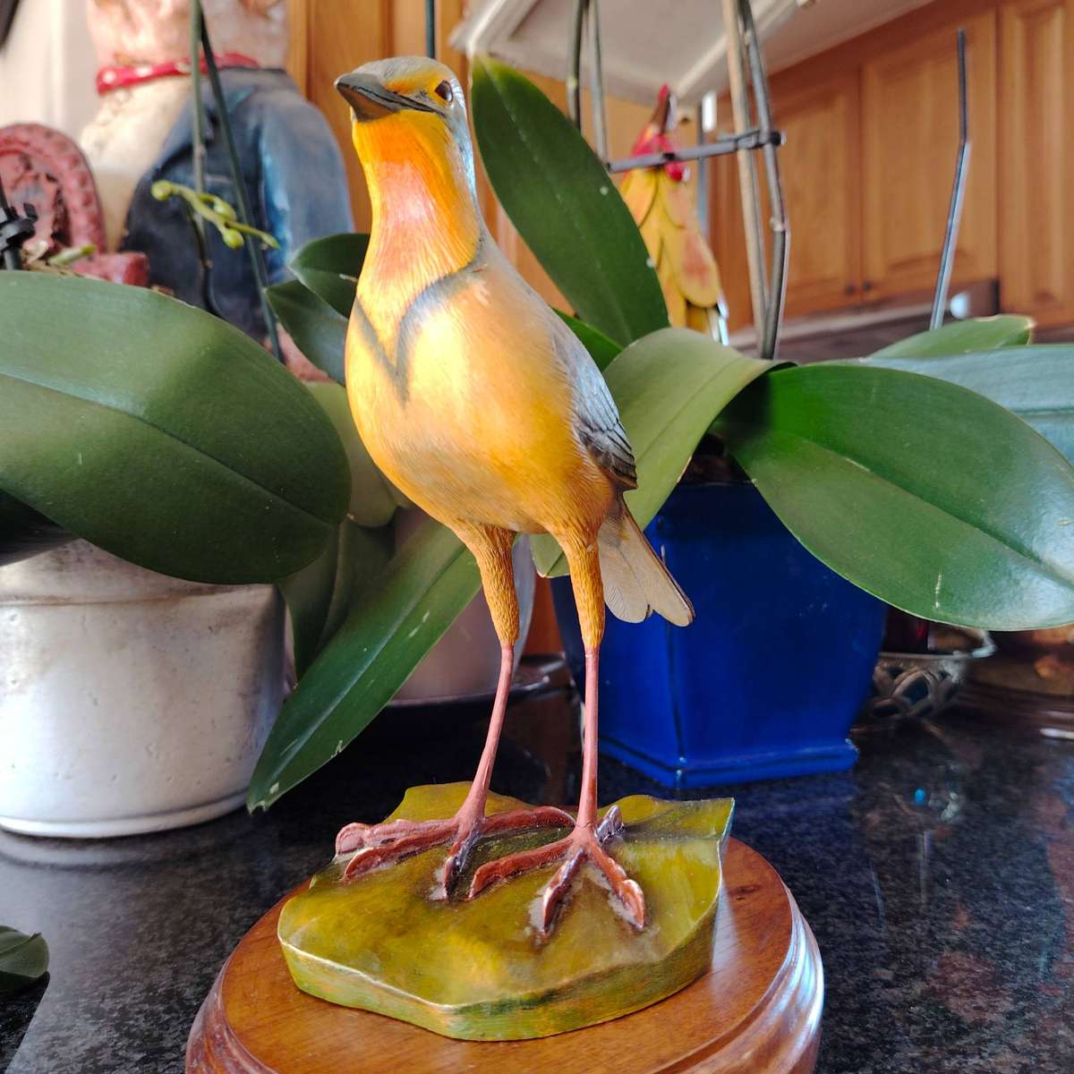 The Artist Collection Hummingbird Studios Cape Long Claw