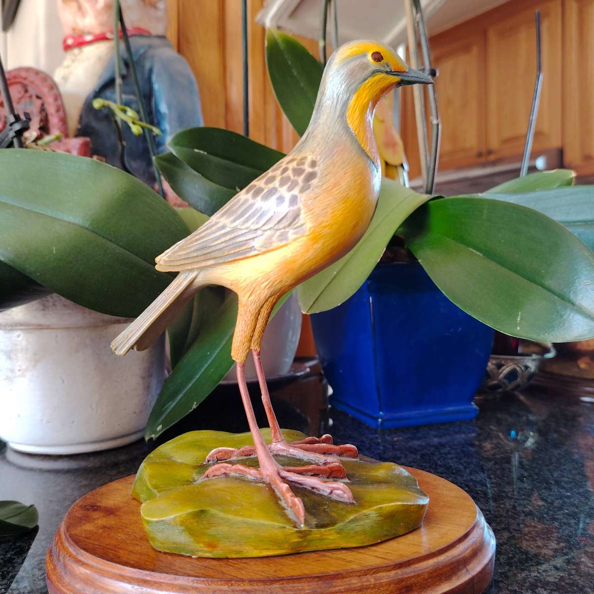 The Artist Collection Hummingbird Studios Cape Long Claw