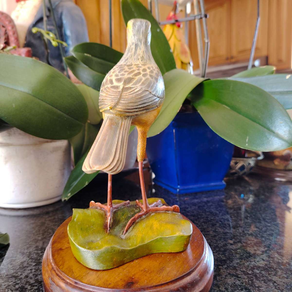 The Artist Collection Hummingbird Studios Cape Long Claw