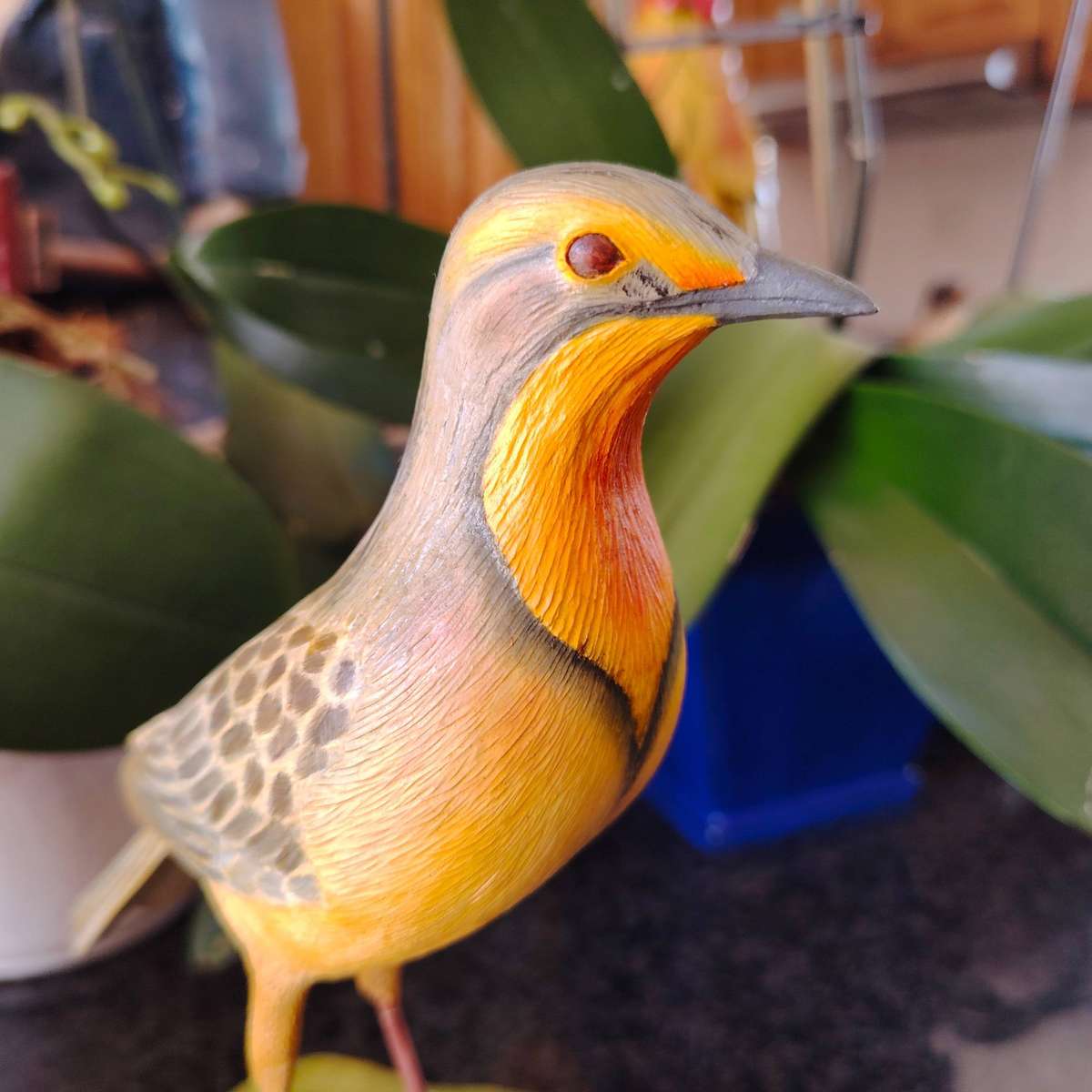 The Artist Collection Hummingbird Studios Cape Long Claw