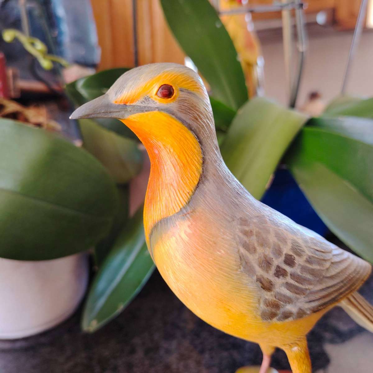 The Artist Collection Hummingbird Studios Cape Long Claw