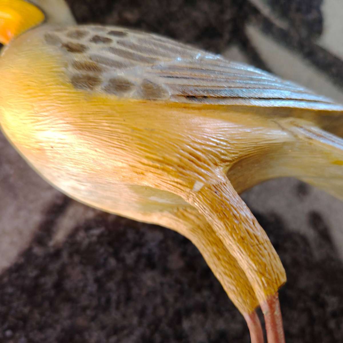 The Artist Collection Hummingbird Studios Cape Long Claw