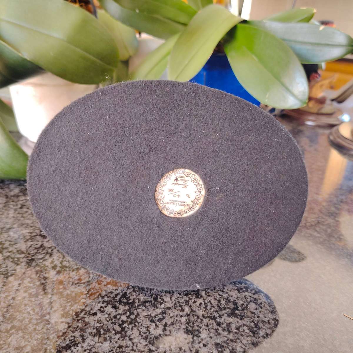 The Artist Collection Hummingbird Studios Cape Long Claw