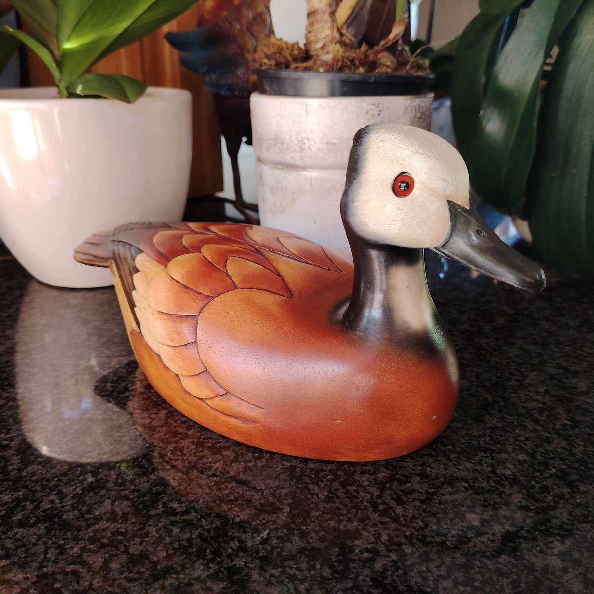 Feathers of Knysna carved and hand painted  Whitefaced Duck