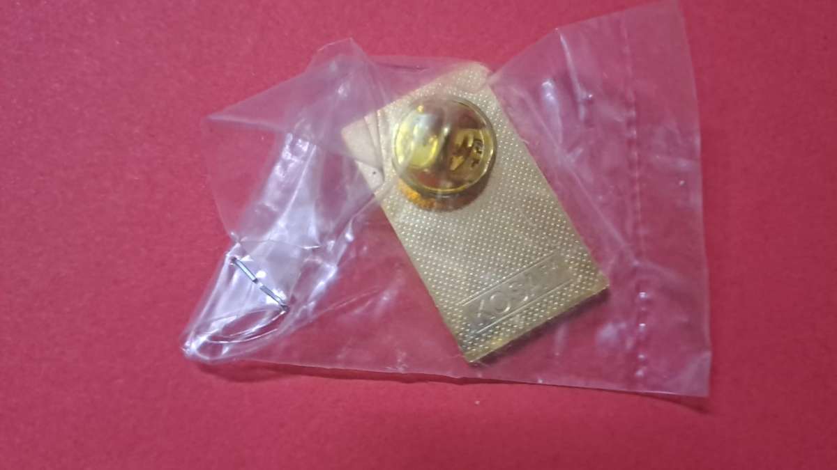 South African 7th All Africa games 1999 Greater Johannesburg - Gold color - Pin.