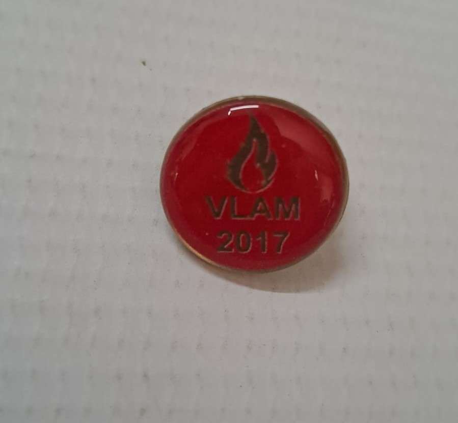 South Africa Pins - Vlam 2017 (metal/silver-gold color)