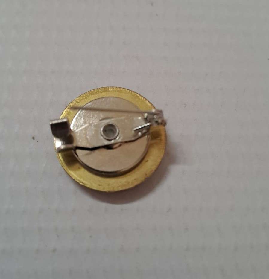 South Africa Pins - Vlam 2017 (metal/silver-gold color)