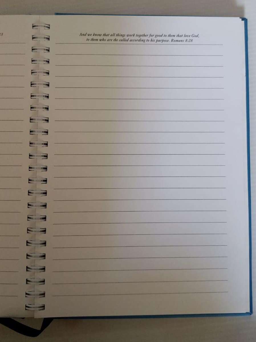 Book - Journal - Reflections of a queen. 1 Cor. 13:12