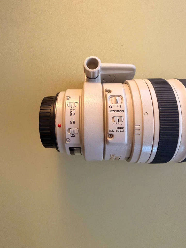 Canon Zoom Lens EF 100-400mm 1:4.5 - 5.6 L IS