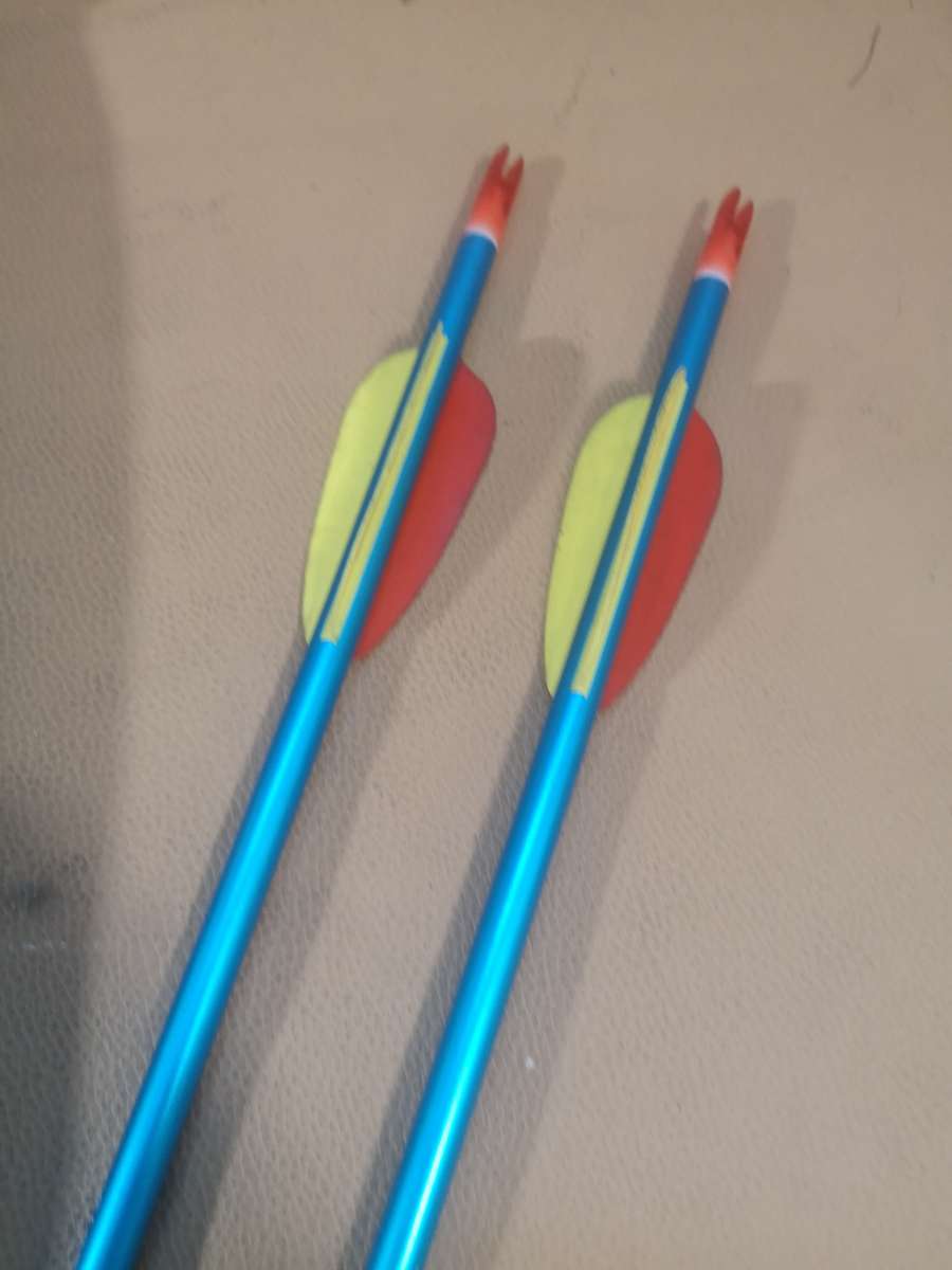 BARNETT LIL BANSHEE ARCHERY BOW AND ARROWS 1 OF 3 ON AUCTION