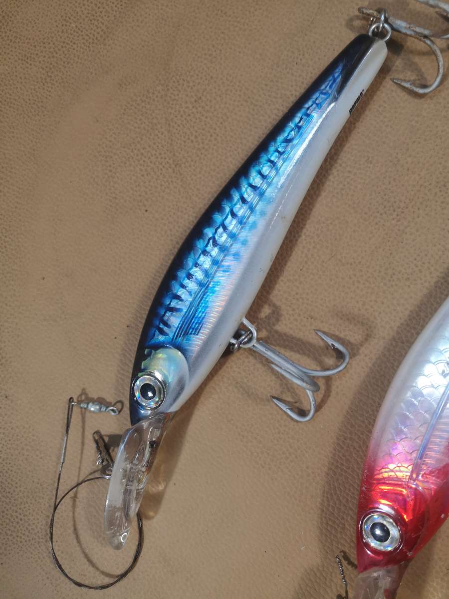 X-RAP Magnum Xtreme 160 Fishing Lure, 16cm Combo