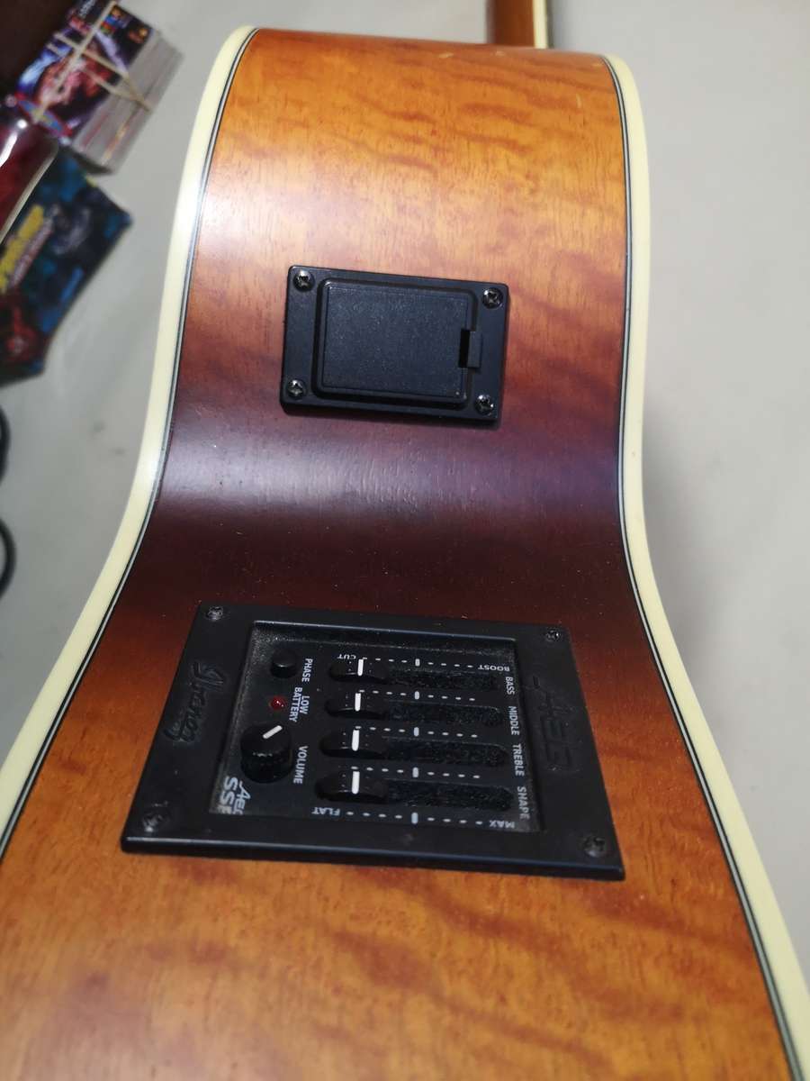 Rare Guitar!! Ibanez AEL40S RLV1202 Electrical Acoustic Guitar - Vine Fretboard Inlay