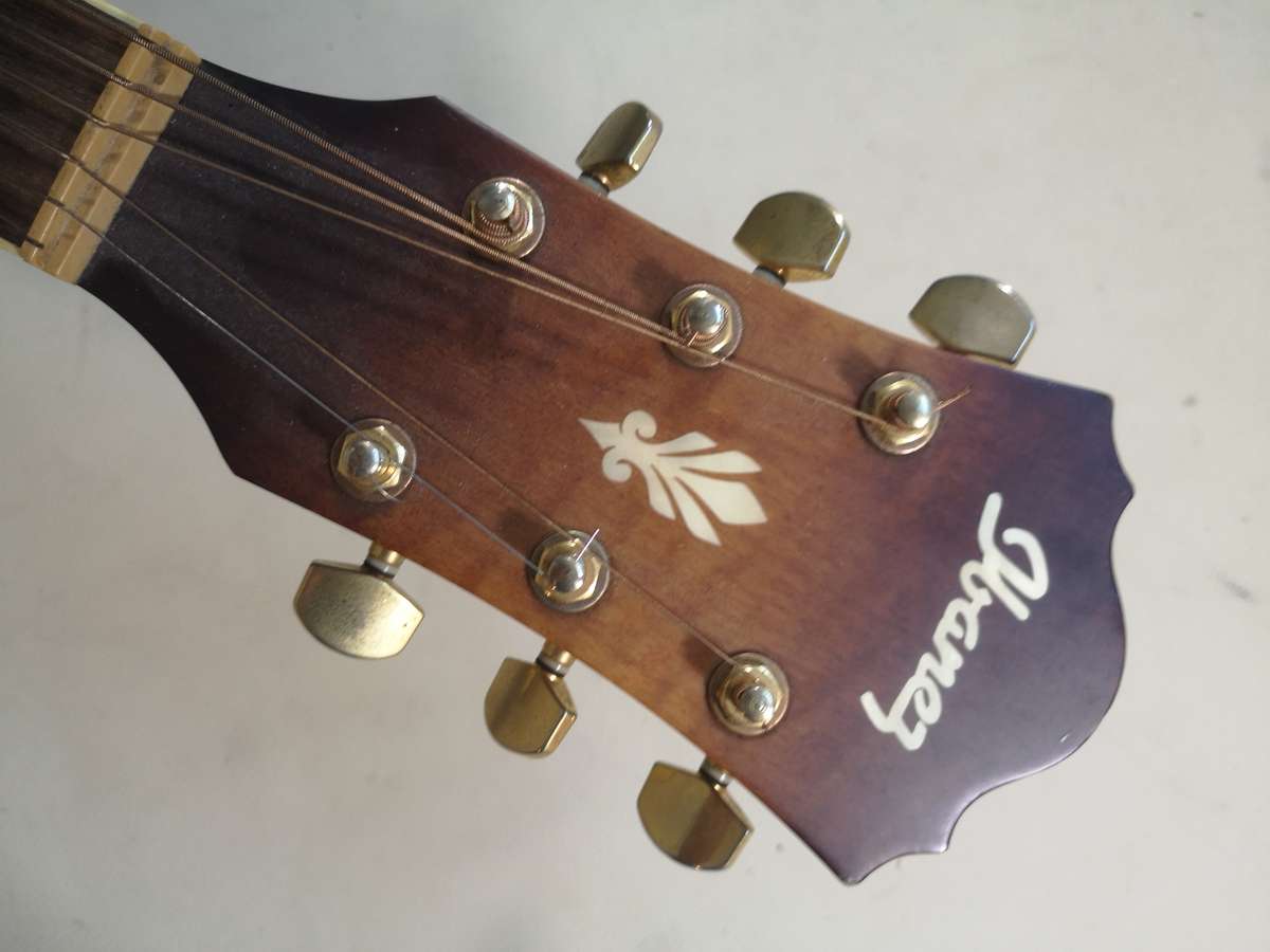 Rare Guitar!! Ibanez AEL40S RLV1202 Electrical Acoustic Guitar - Vine Fretboard Inlay