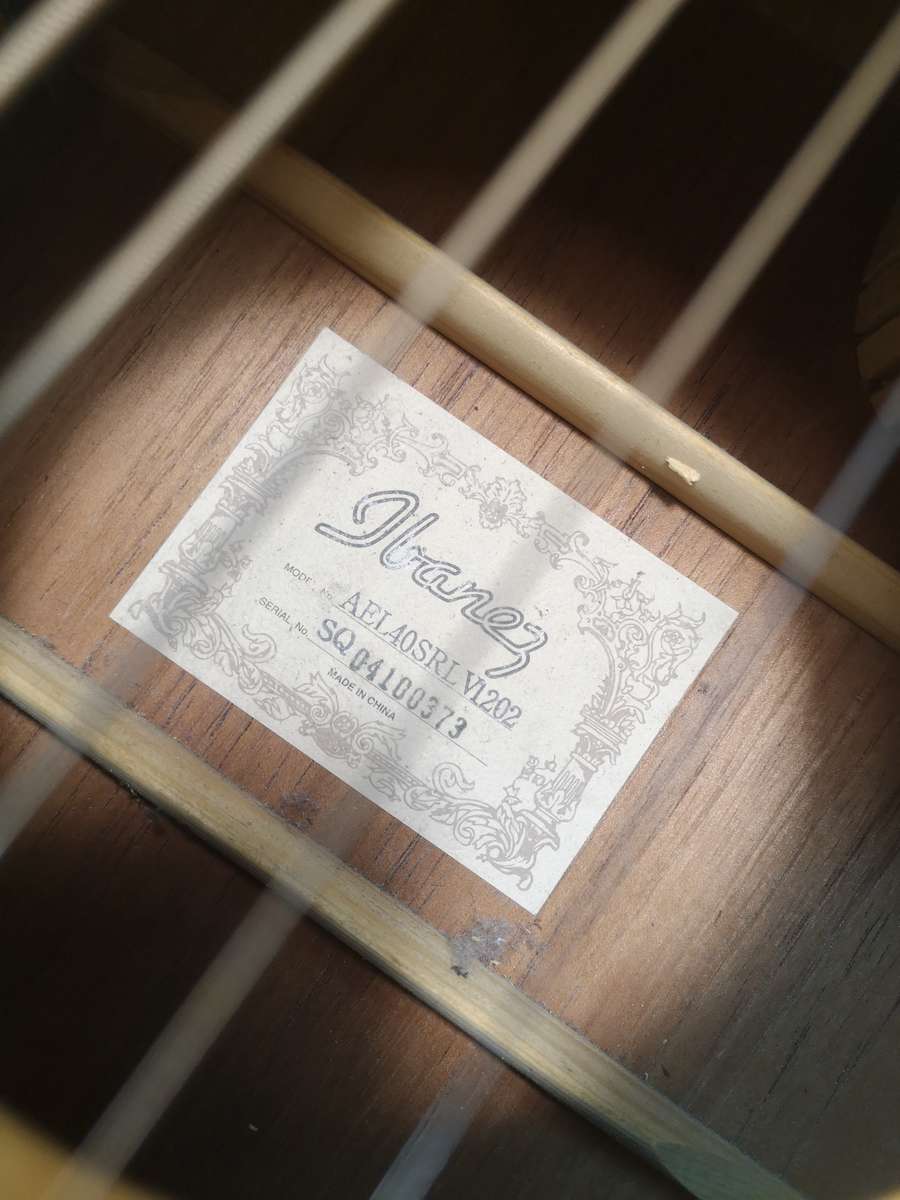 Rare Guitar!! Ibanez AEL40S RLV1202 Electrical Acoustic Guitar - Vine Fretboard Inlay