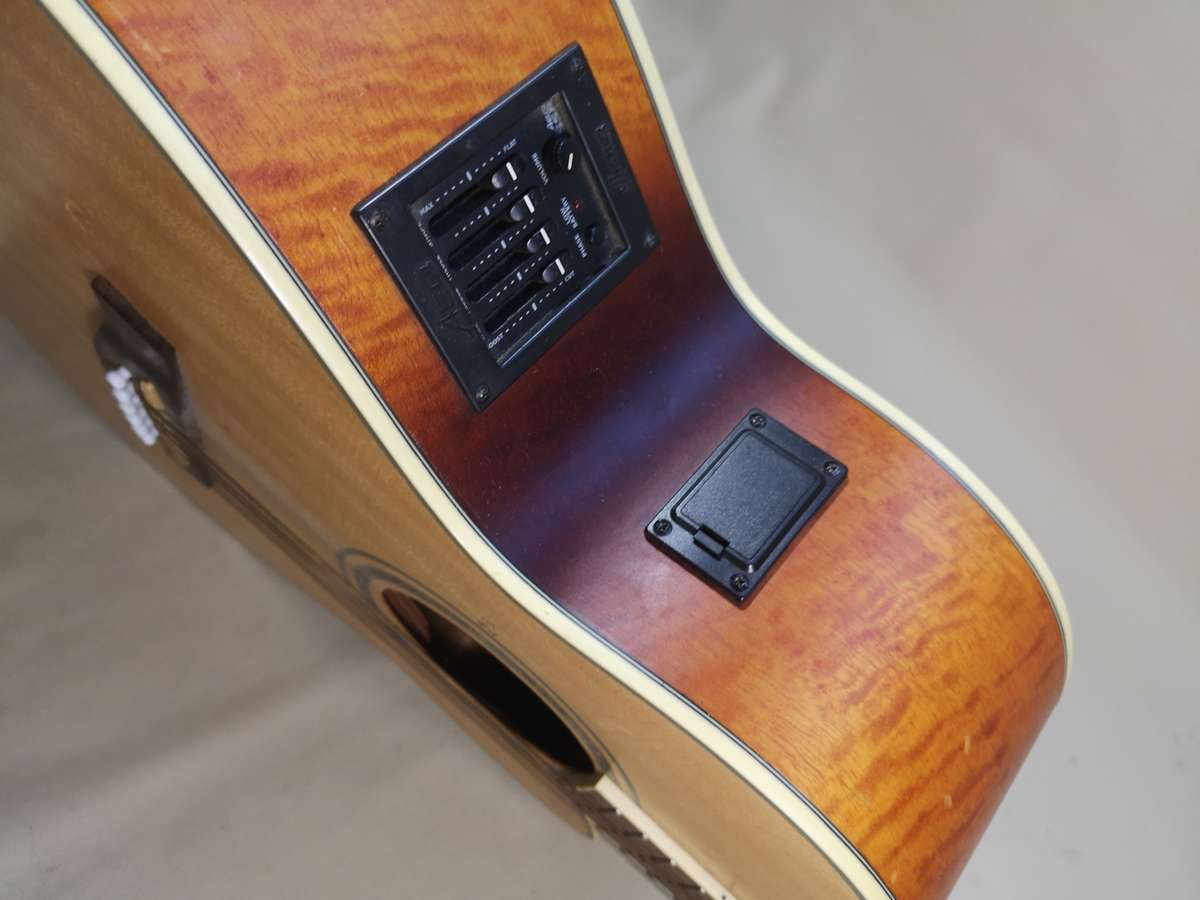 Rare Guitar!! Ibanez AEL40S RLV1202 Electrical Acoustic Guitar - Vine Fretboard Inlay