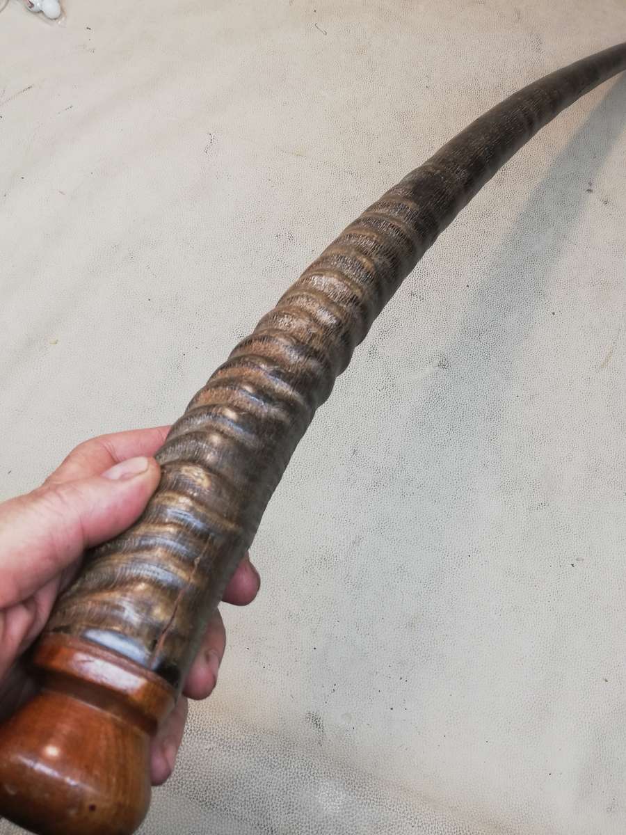 A 19th century walking stick with Gemsbok horn shaft, 830mm