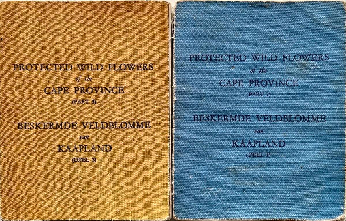 Protected Wild Flowers of the Cape Province Volume 1 and Volume 3