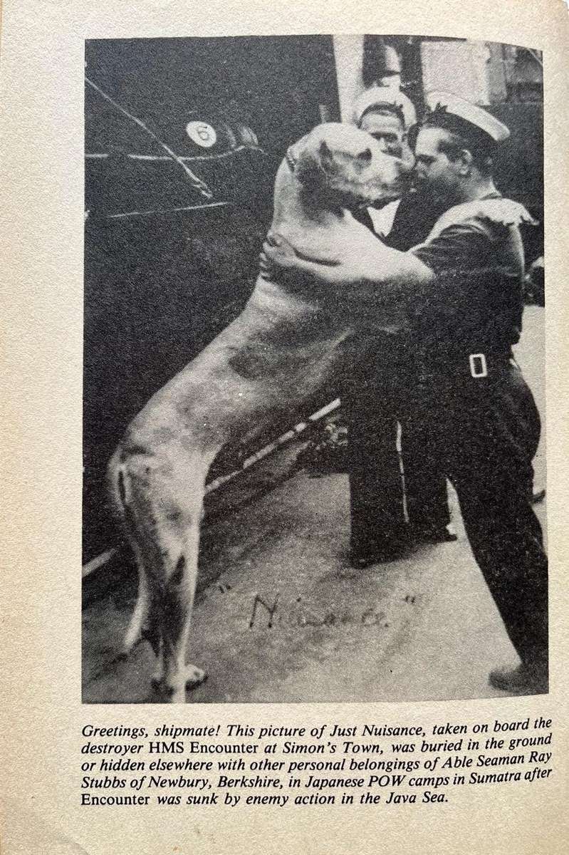 Just Nuisance AB - His Full Story