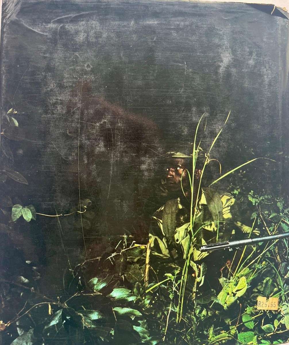 Contact - Rhodesia at War