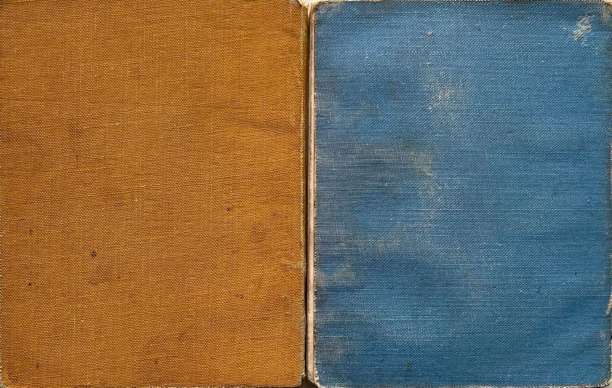 Protected Wild Flowers of the Cape Province Volume 1 and Volume 3