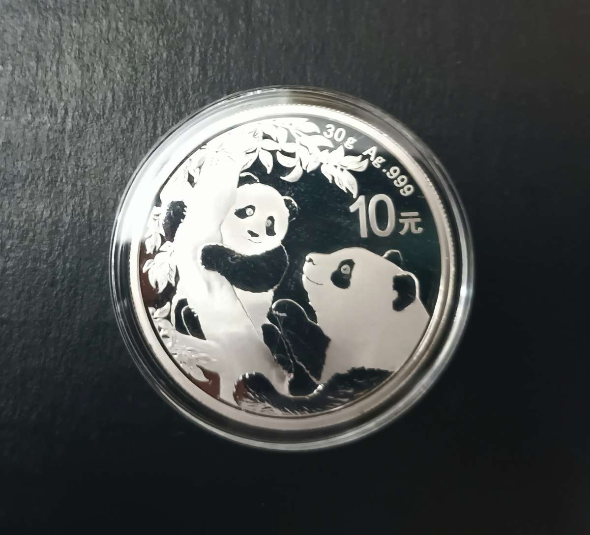 2021 30G .999 SILVER CHINESE PANDA COIN [CAP]
