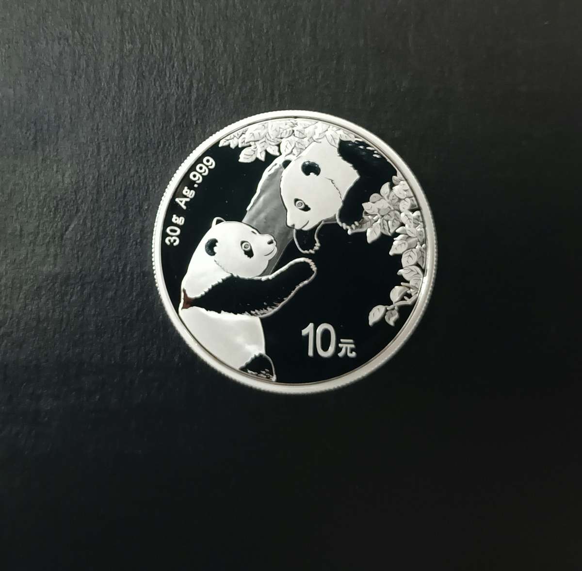 2023 30G .999 SILVER CHINESE PANDA COIN [CAP]
