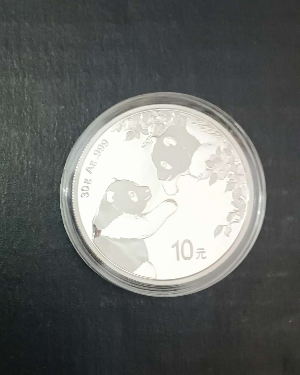 2023 30G .999 SILVER CHINESE PANDA COIN [CAP]