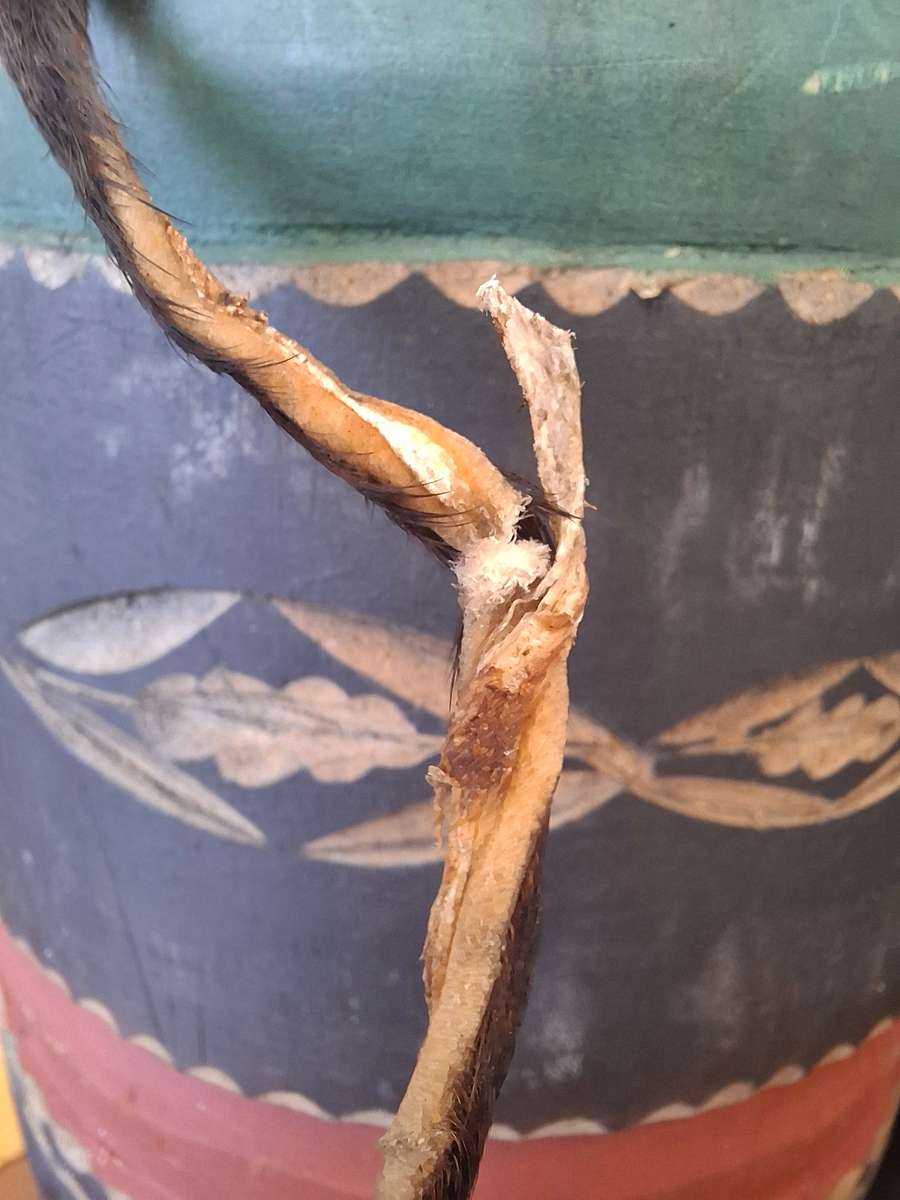 African Drum with stunning Carvings - Small with Rawhide top