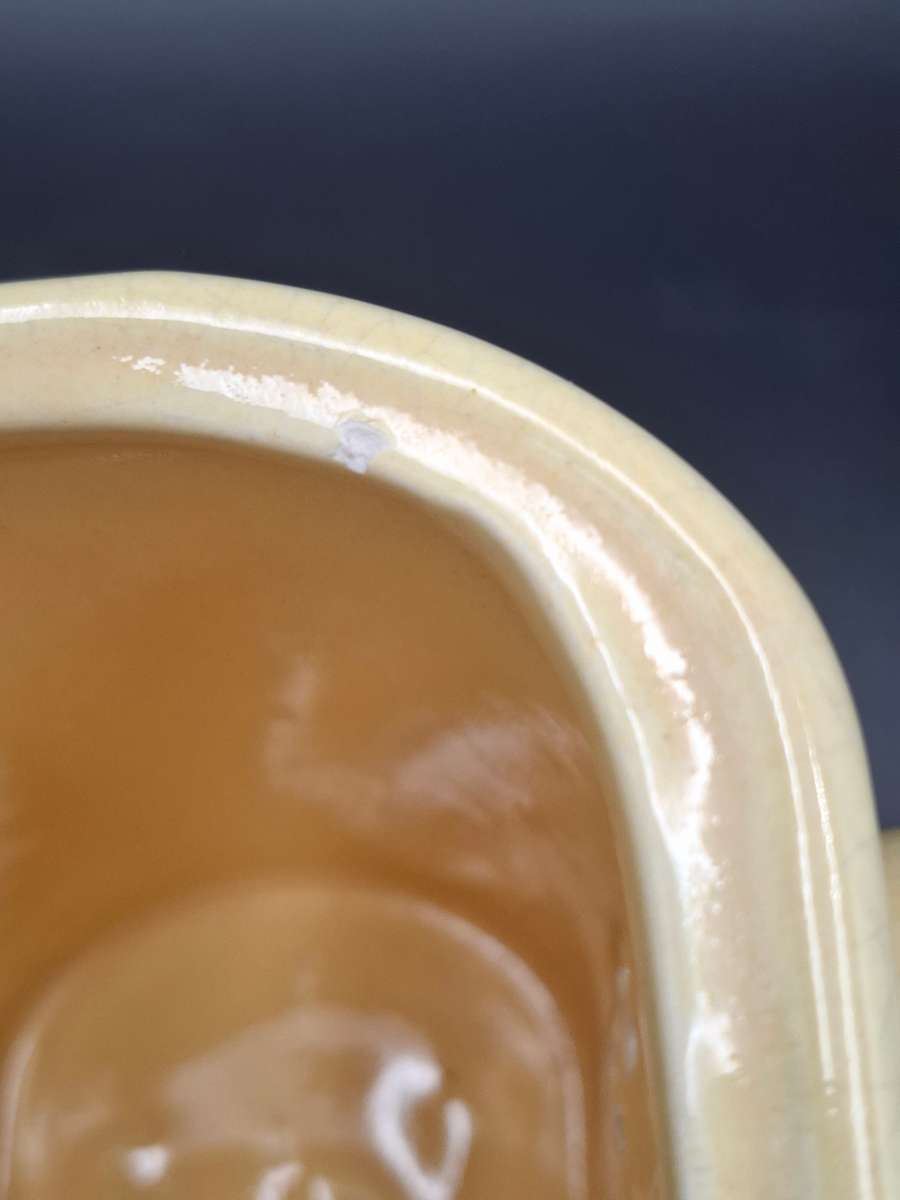 Vintage Taste Setter Teapot in Lemon with Double Spout