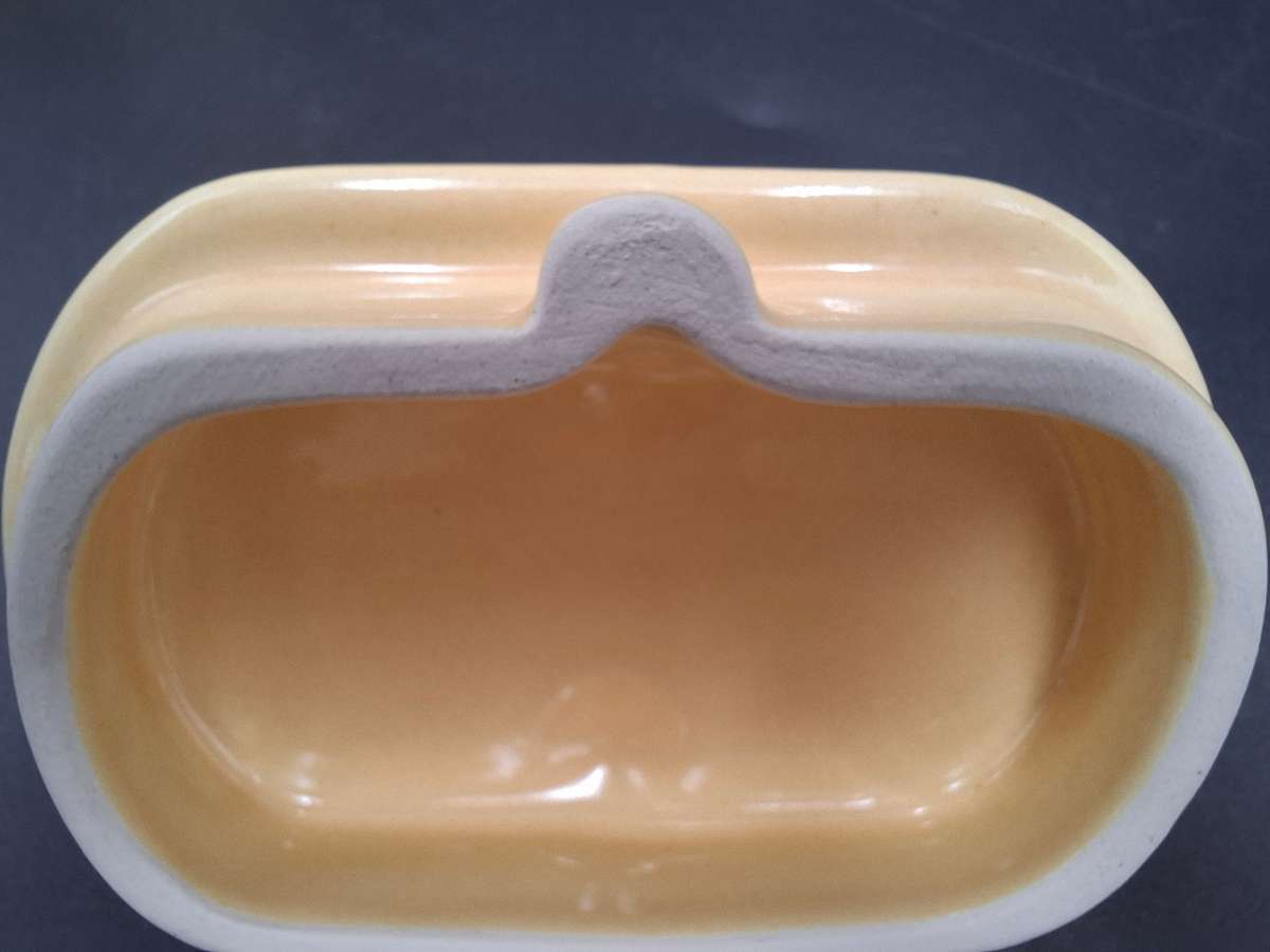 Vintage Taste Setter Teapot in Lemon with Double Spout