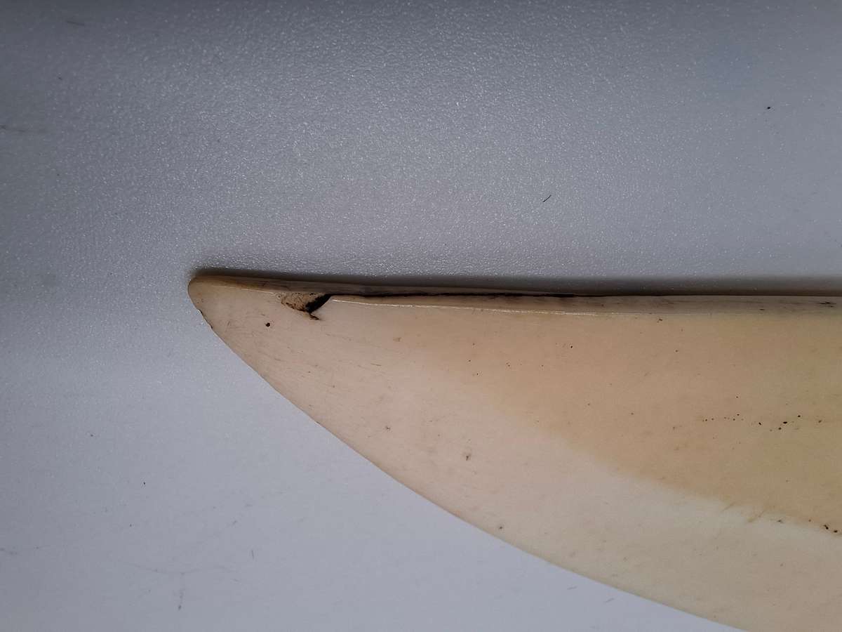 Vintage Bone Letter Opener - Beautiful carving