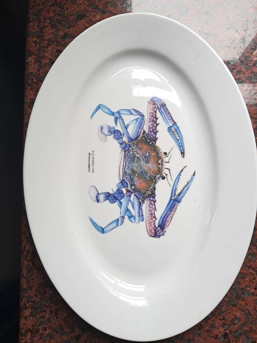 Seafood Dinner Plates Set of 8