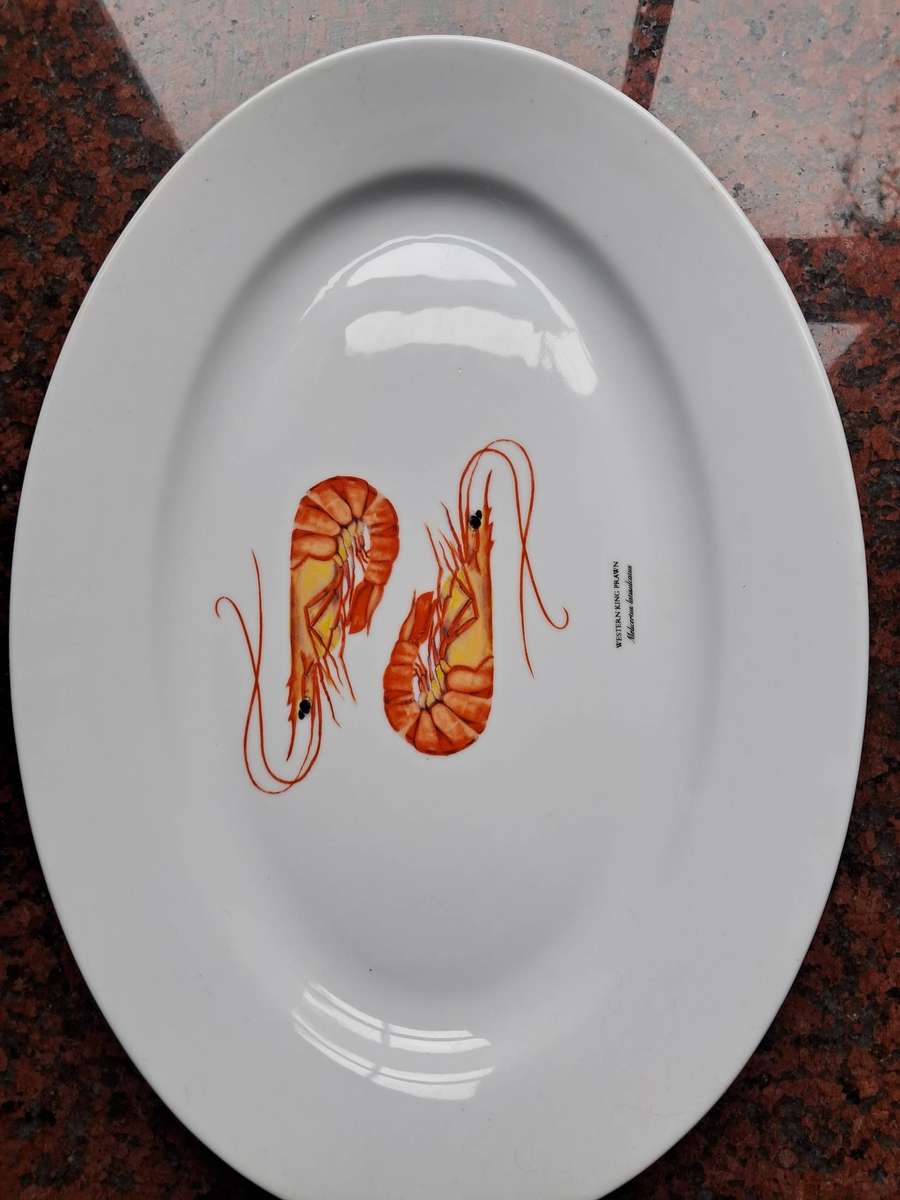 Seafood Dinner Plates Set of 8