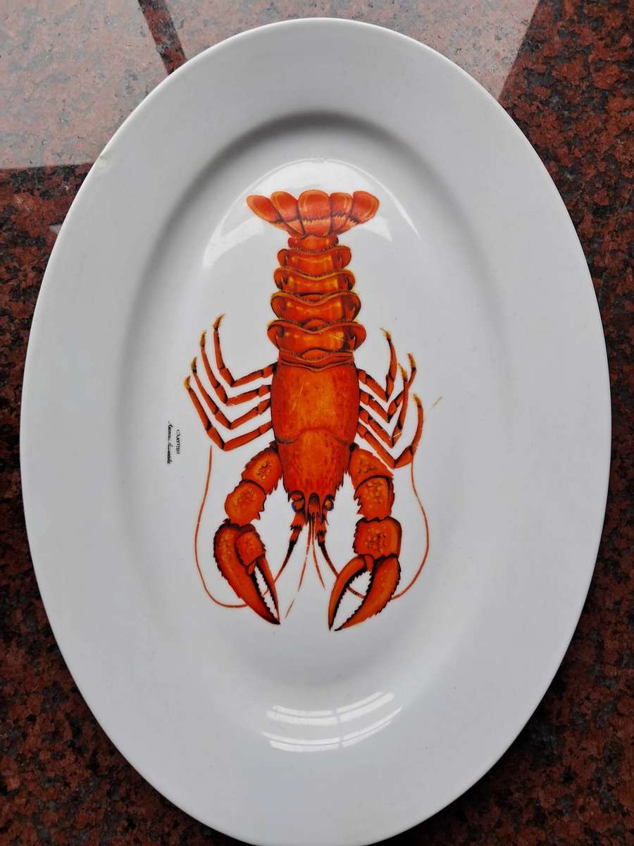 Seafood Dinner Plates Set of 8