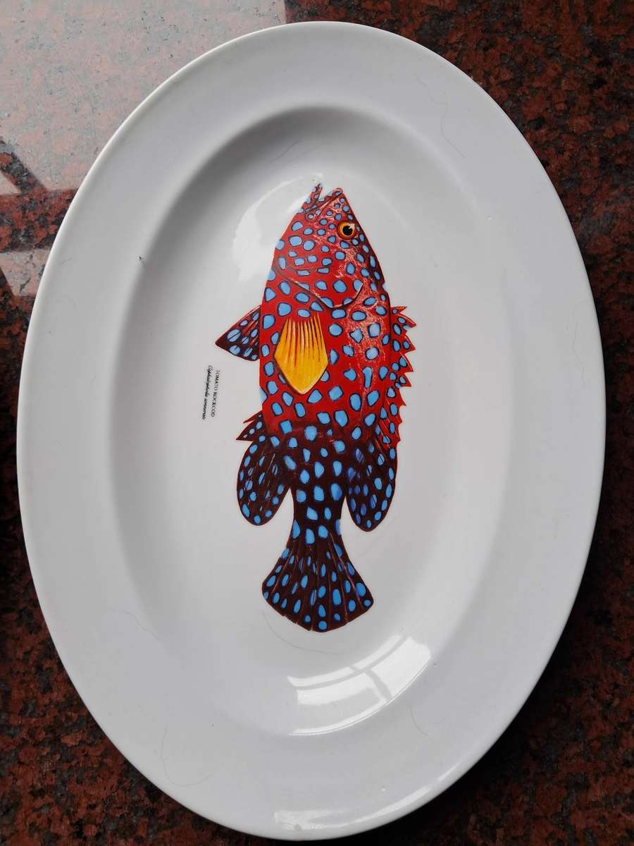 Seafood Dinner Plates Set of 8