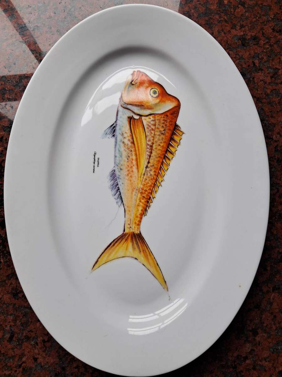 Seafood Dinner Plates Set of 8