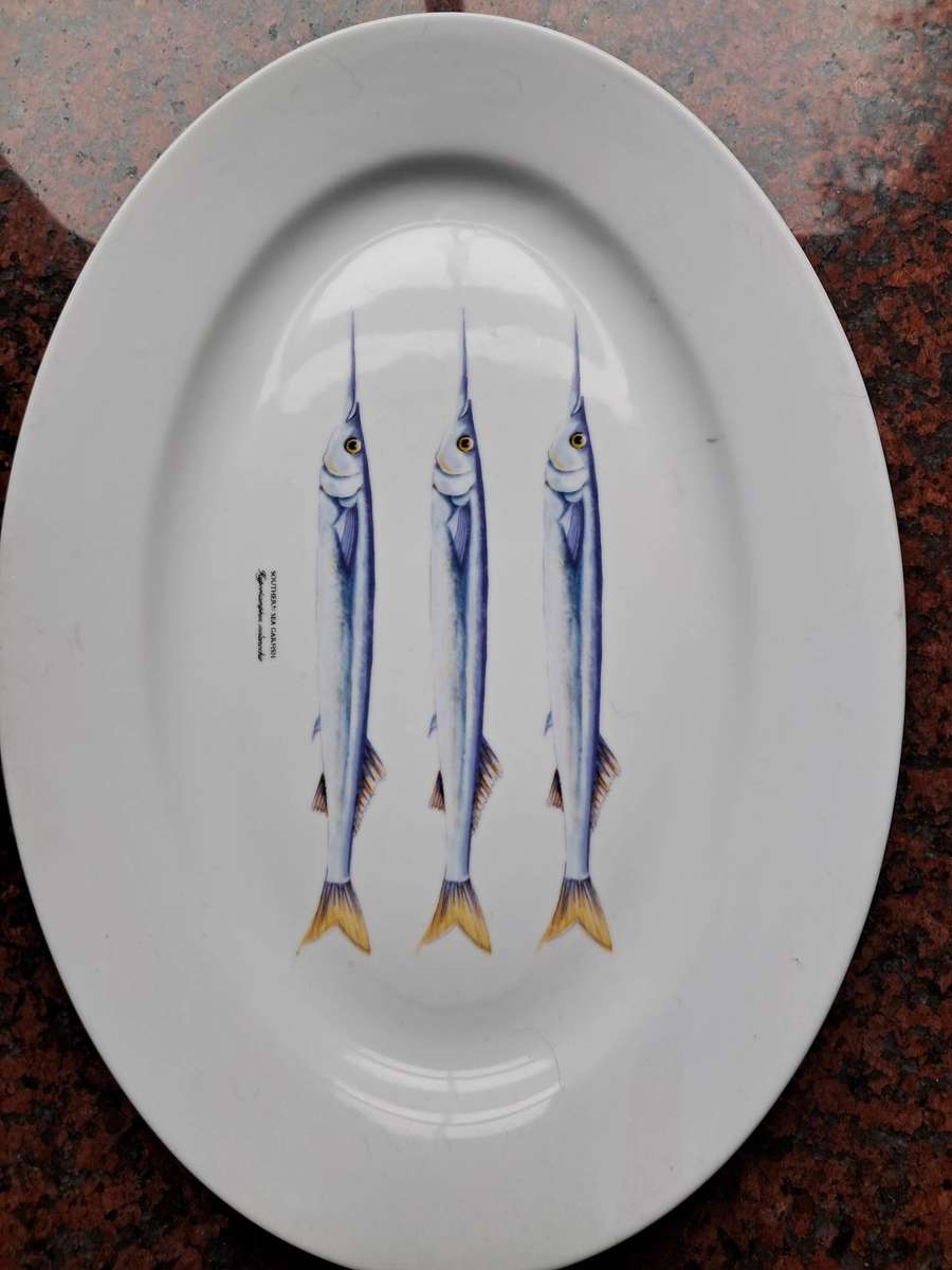 Seafood Dinner Plates Set of 8