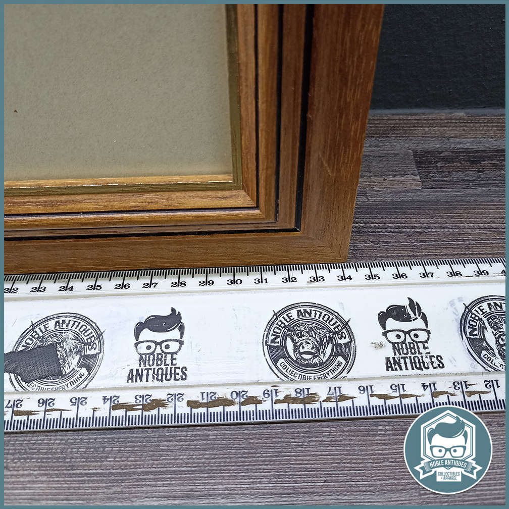 Framed and signed ink and watercolor camel art