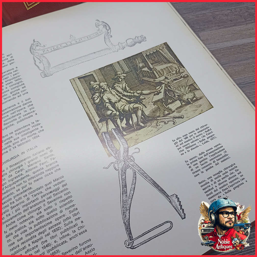 Vintage Foiled and Amazing Illustrated Italian Medical Encyclopedia Collection