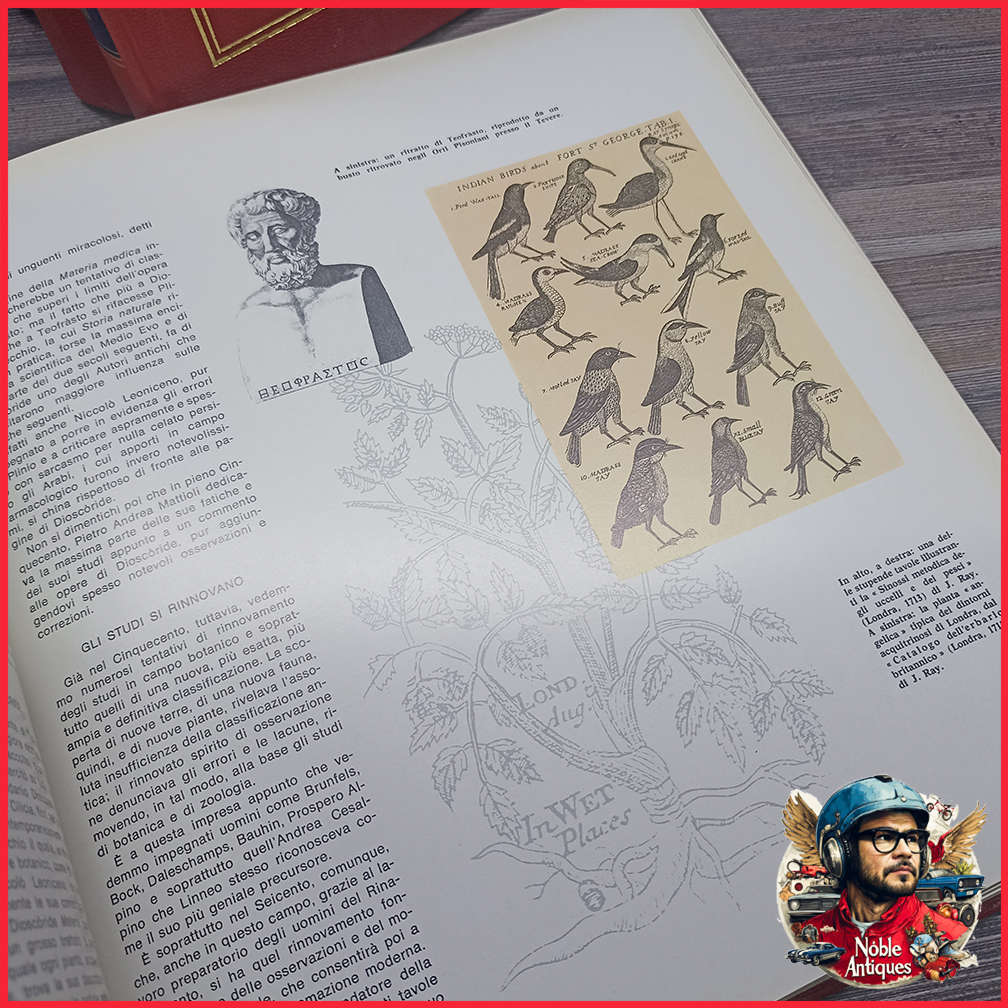 Vintage Foiled and Amazing Illustrated Italian Medical Encyclopedia Collection