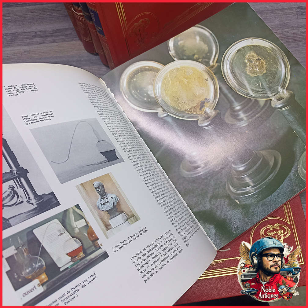 Vintage Foiled and Amazing Illustrated Italian Medical Encyclopedia Collection