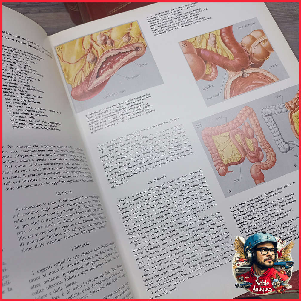 Vintage Foiled and Amazing Illustrated Italian Medical Encyclopedia Collection