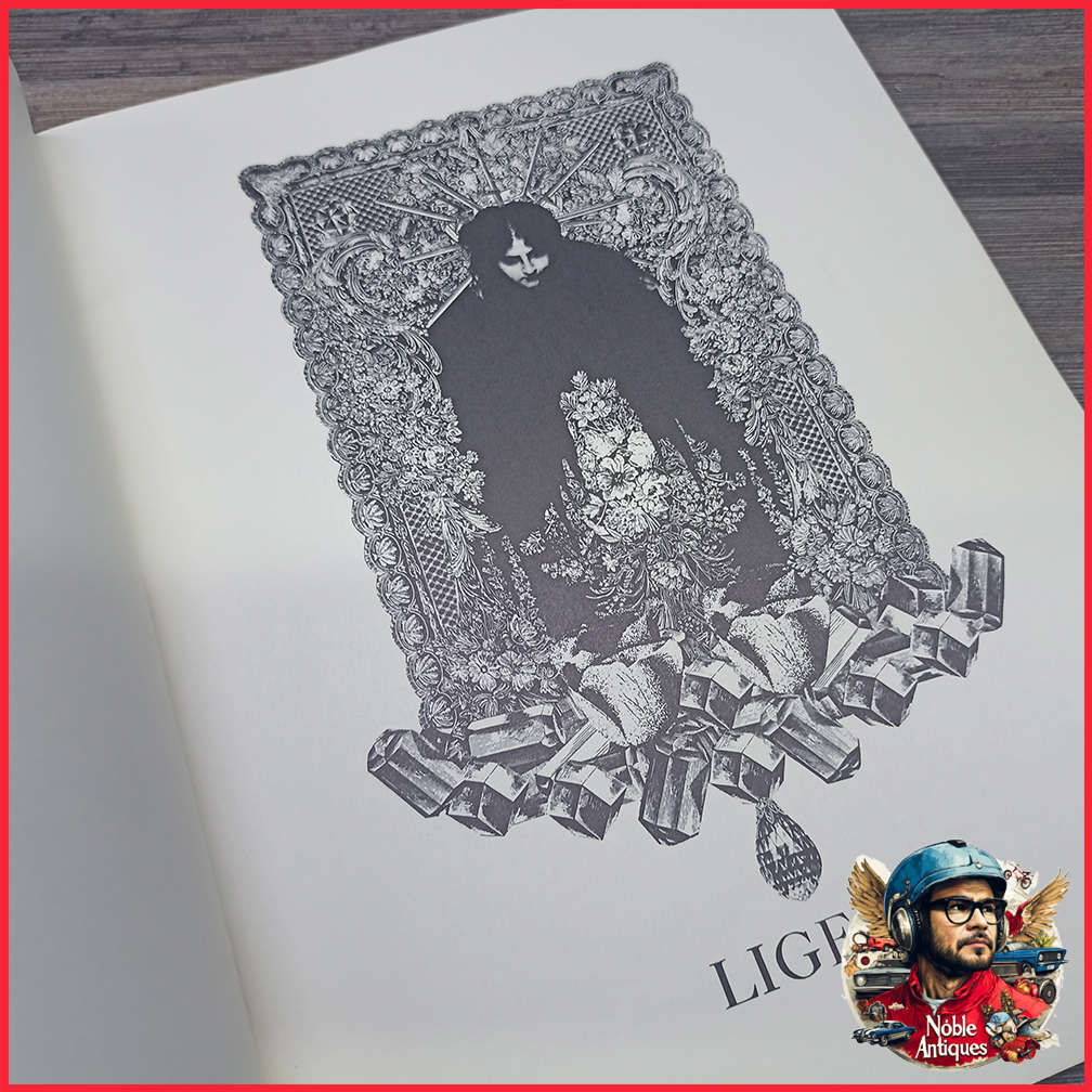 The Illustrated Edgar Allan Poe by Wilfried Satty