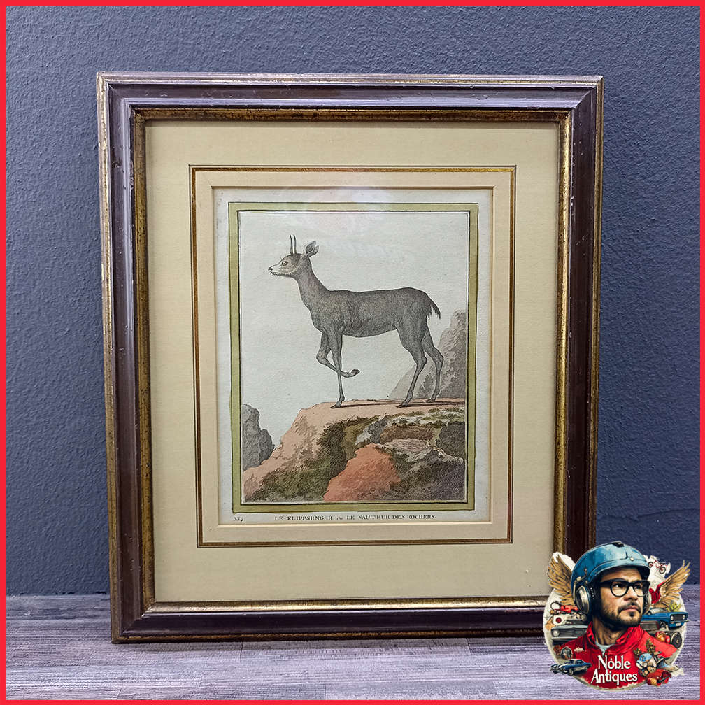 Framed Antique Colored Etch Le Klippsunger Le Sauteur Des Rochers