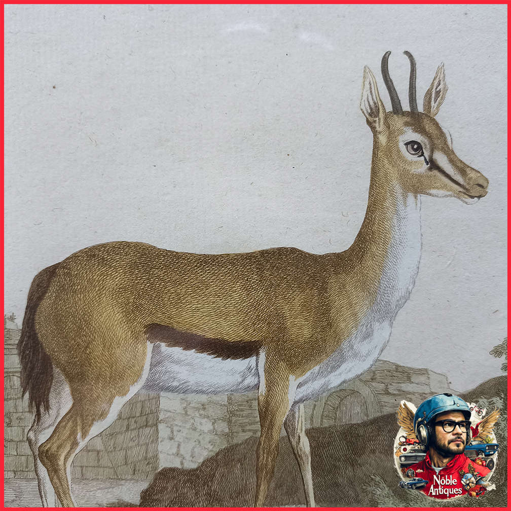 Framed Antique Colored Etch La Coring