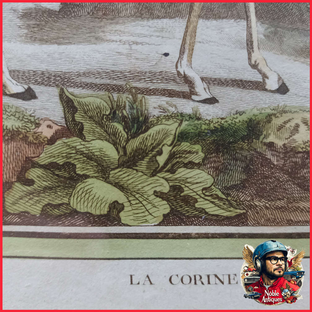 Framed Antique Colored Etch La Coring