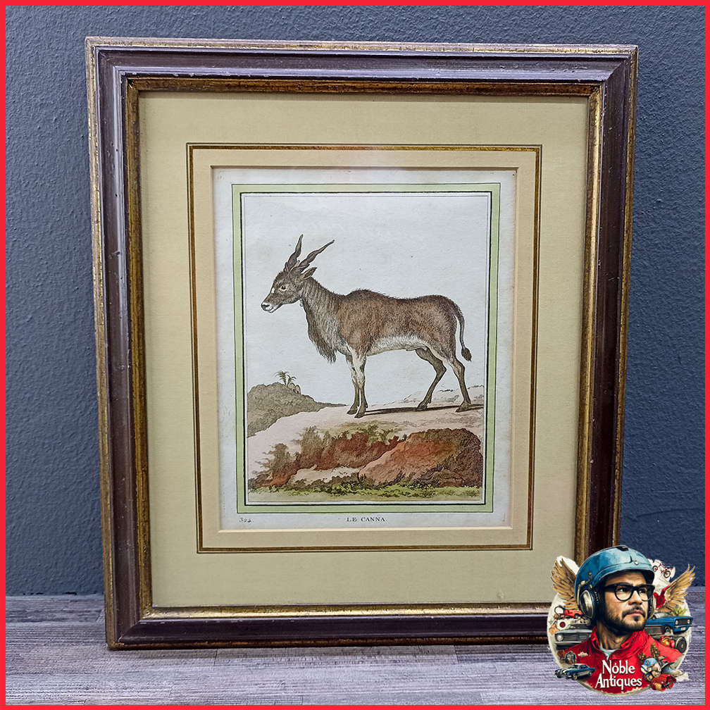 Framed Antique Colored Etch Le Canna